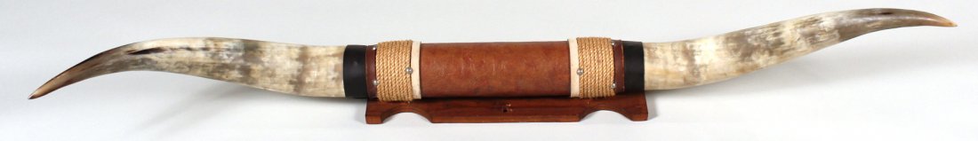 Texas Long Horns (1 of 8)