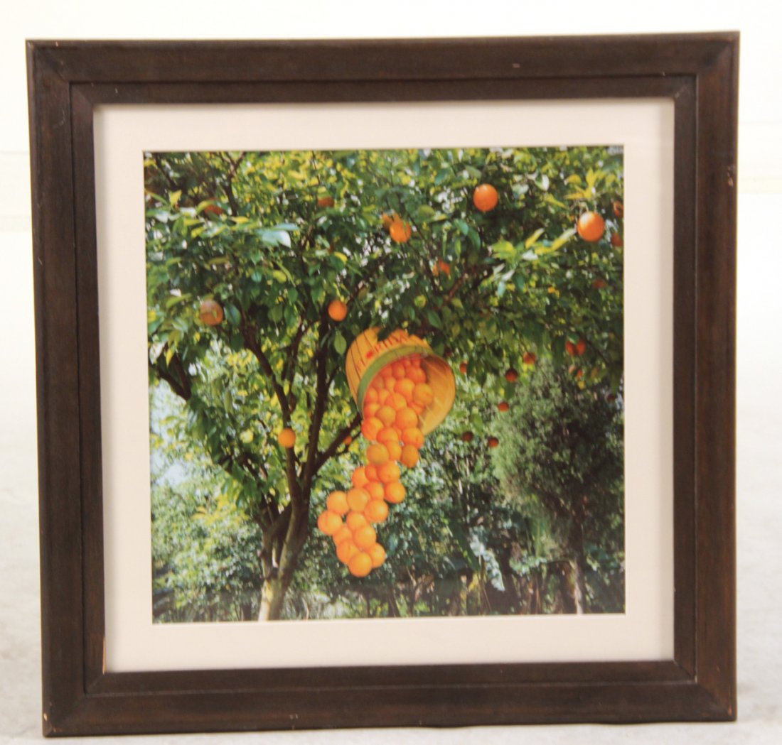 Cibachrome Print, Oranges, Suzanne Camp Crosby (1 of 4)