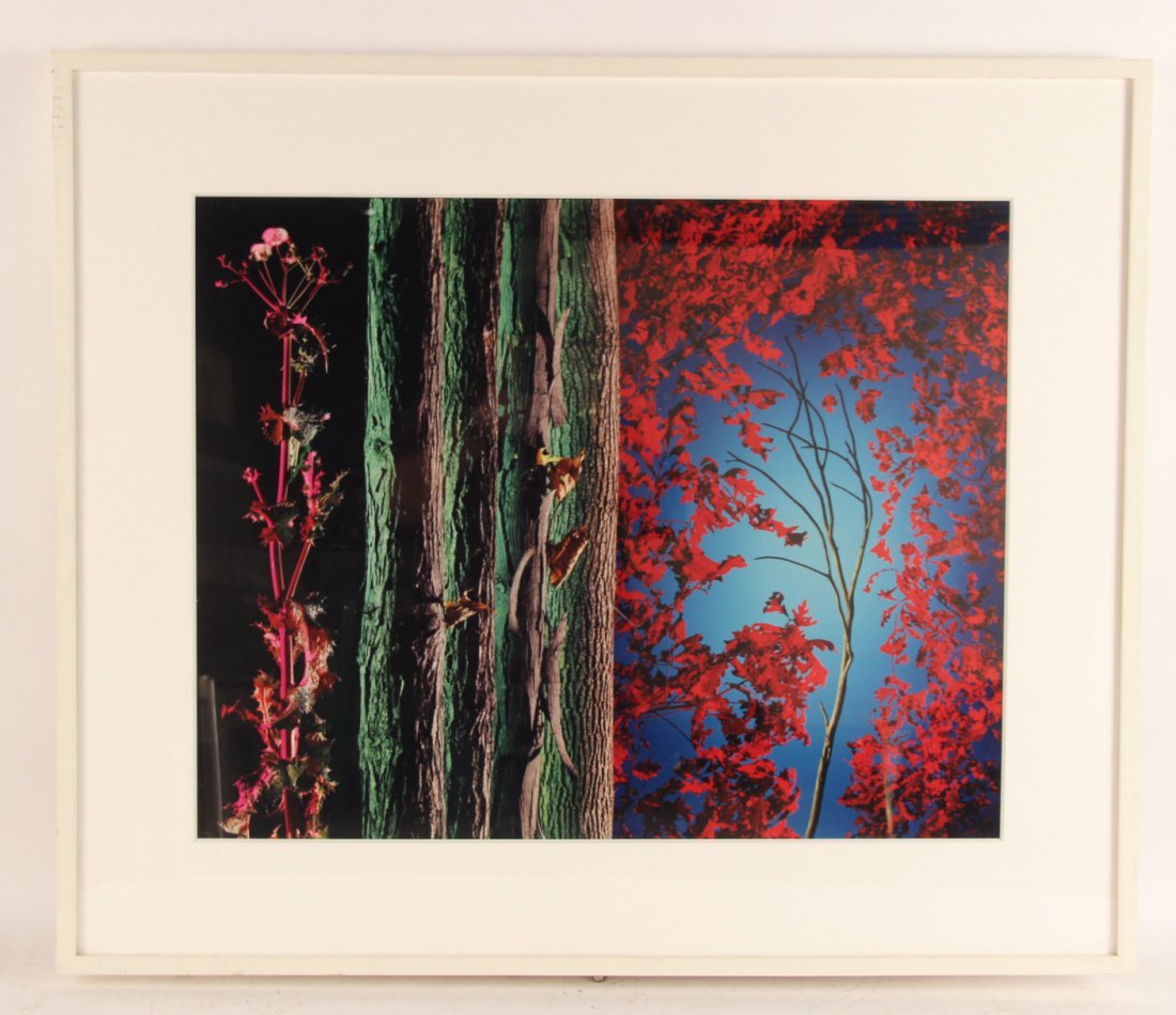 Ektacolor Print, "Abinitio," Brian Oglesbee (1 of 4)