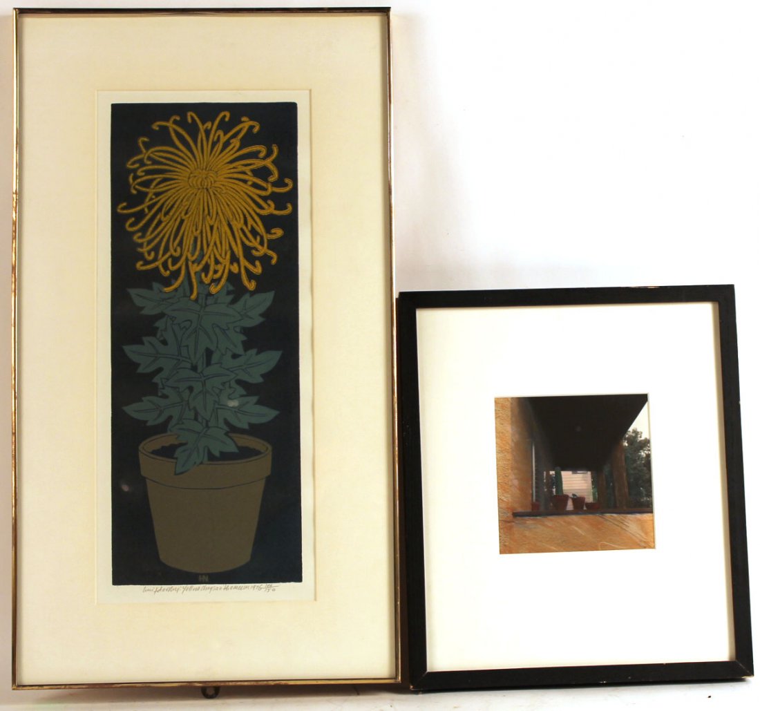 Photograph, "Cactus," Judith Friedman (1 of 10)