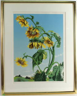 Lithograph, "Sunflowers," Sondra Freckelton: Signed l.r.Sondra Freckelton (American, 20thC.)and l.l.edition 2/80 RDA#15315 Bin#74 Sight size:40"h x 32"w