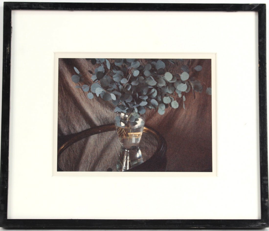 Color Coupler Print,Eucalyptus, Danielle Weil (1 of 4)