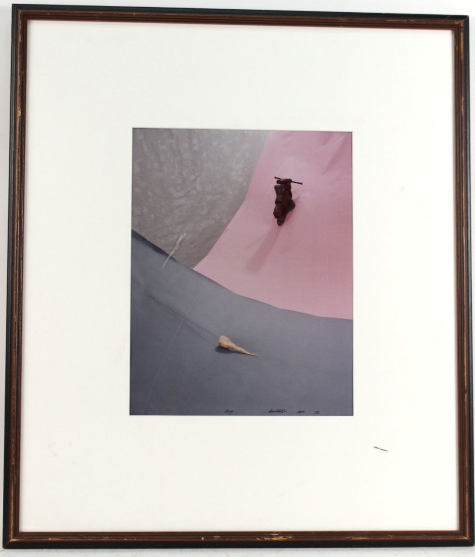 Cibachrome Print, "Decoy," Boyd Webb (1 of 8)