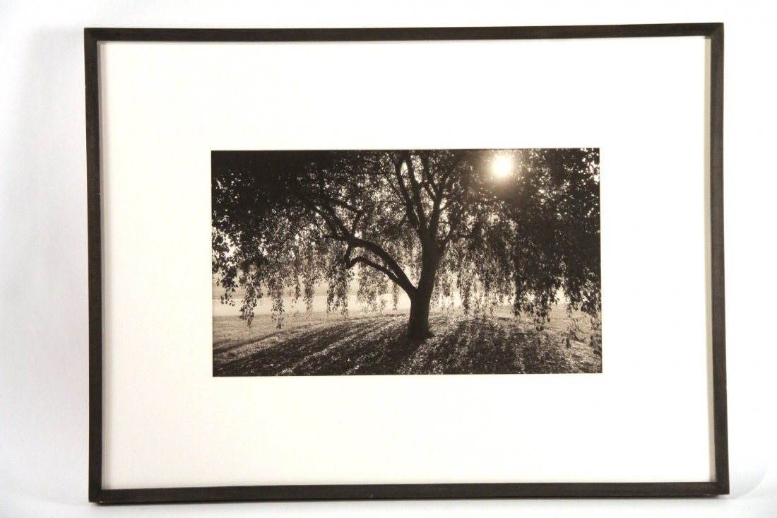 Platinum Palladium Print, Dick Arentz (1 of 4)