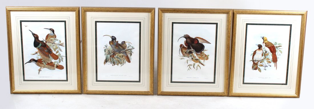 Four Handcolored Lithographs of Birds (1 of 8)