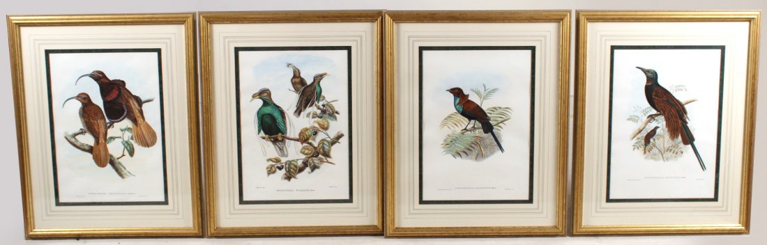 Four Handcolored Lithographs of Birds (1 of 9)