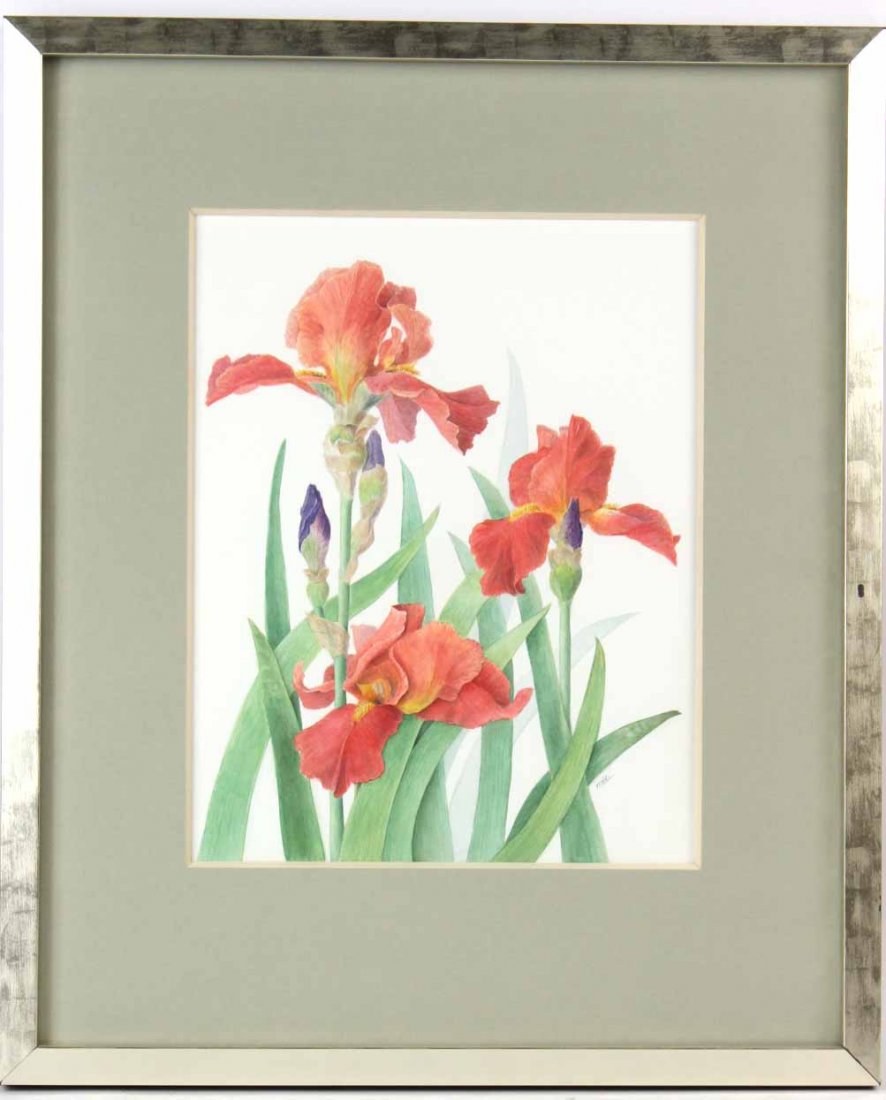 Watercolor, Pink Irises, Marsha Ra (1 of 5)