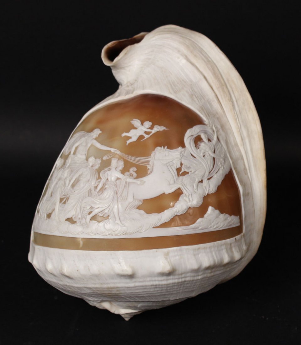 Cameo Conch Shell of Classical Scene (1 of 4)