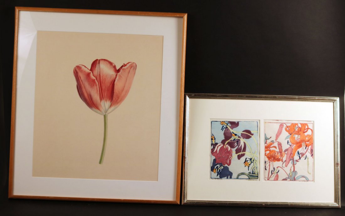 Lithograph, "Tulips & Tulipomania," Rory McEwen (1 of 9)