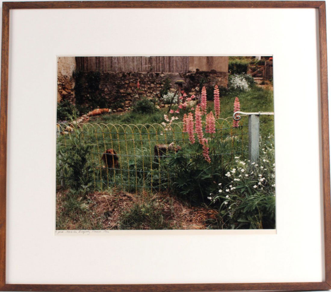 Ektacolor Print, Floral Garden, Frankie Gohlke (1 of 6)