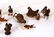 Large Group of Cold Painted Farm Animals - 5