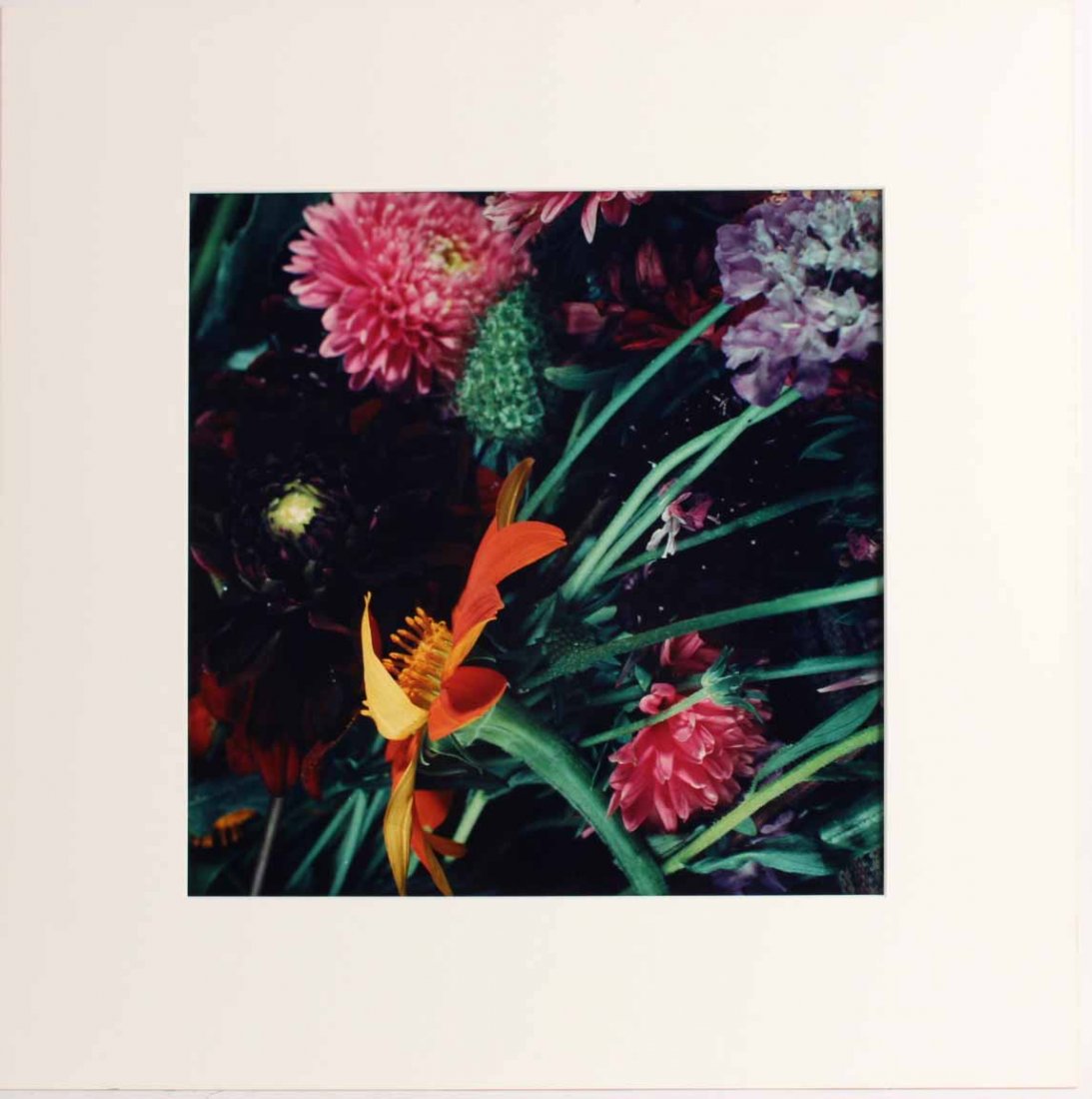 Chromogenic Color Print, Flowers, Anne Sager (1 of 6)