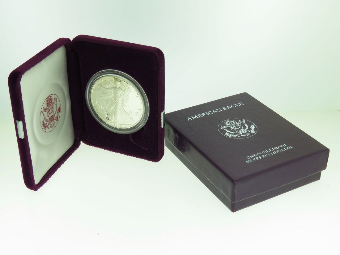1988 AMERICAN SILVER EAGLE PROOF COIN (1 of 1)