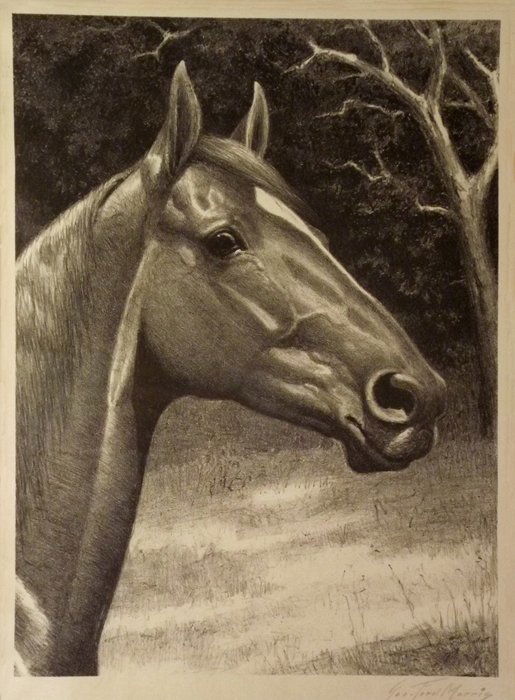 "Man o' War"  by  George Ford Morris (1 of 1)