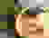 item-77141176=2