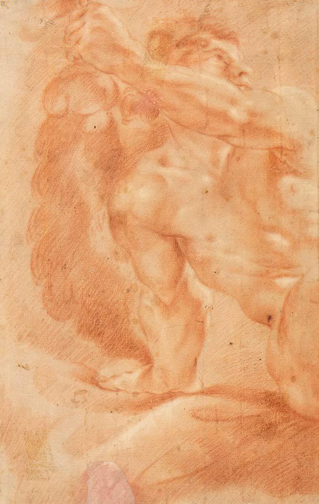 EMILIAN SCHOOL, 17th CENTURY - Recto: Study of a male: EMILIAN SCHOOL, 17th CENTURY Recto: Study of a male bust in torsion. Rev: Study of seated male nude. Red pencil on watermarked paper, cm. 40,5x26. Con cornice PROVENANCE: Private collection, Umbria.