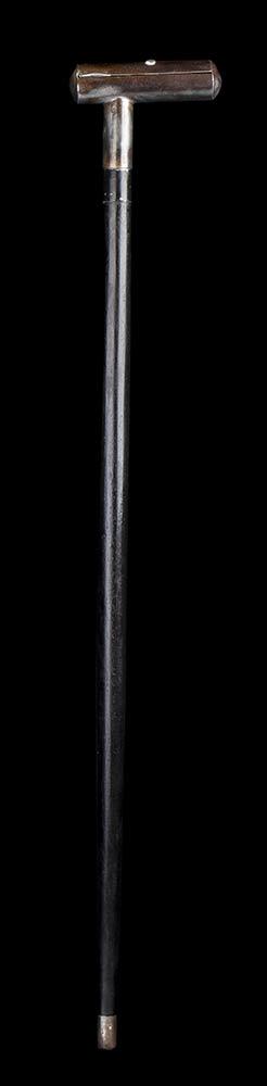 ANIMATED WALKING CANE (1 of 3)