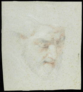 CENTRAL-ITALIAN SCHOOL, FIRST HALF OF 17th CENTURY Male head: Blue and red pencil on laid and watermarked azur paper, cm. 26x27,7 irregular edges PROVENANCE:Private collection, Rome.