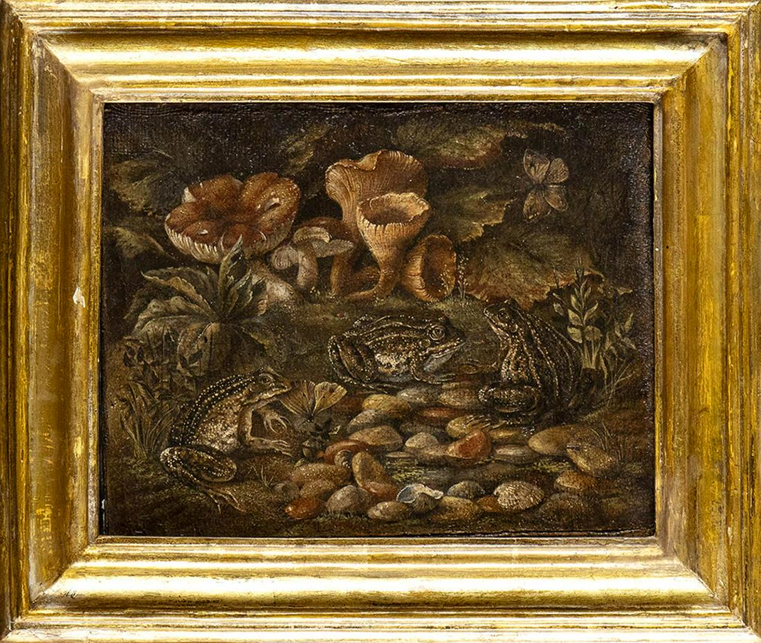 NEAPOLITAN SCHOOL, SECOND HALF OF 17th CENTURY Pond with insect, mushrooms and three frogs (1 of 1)