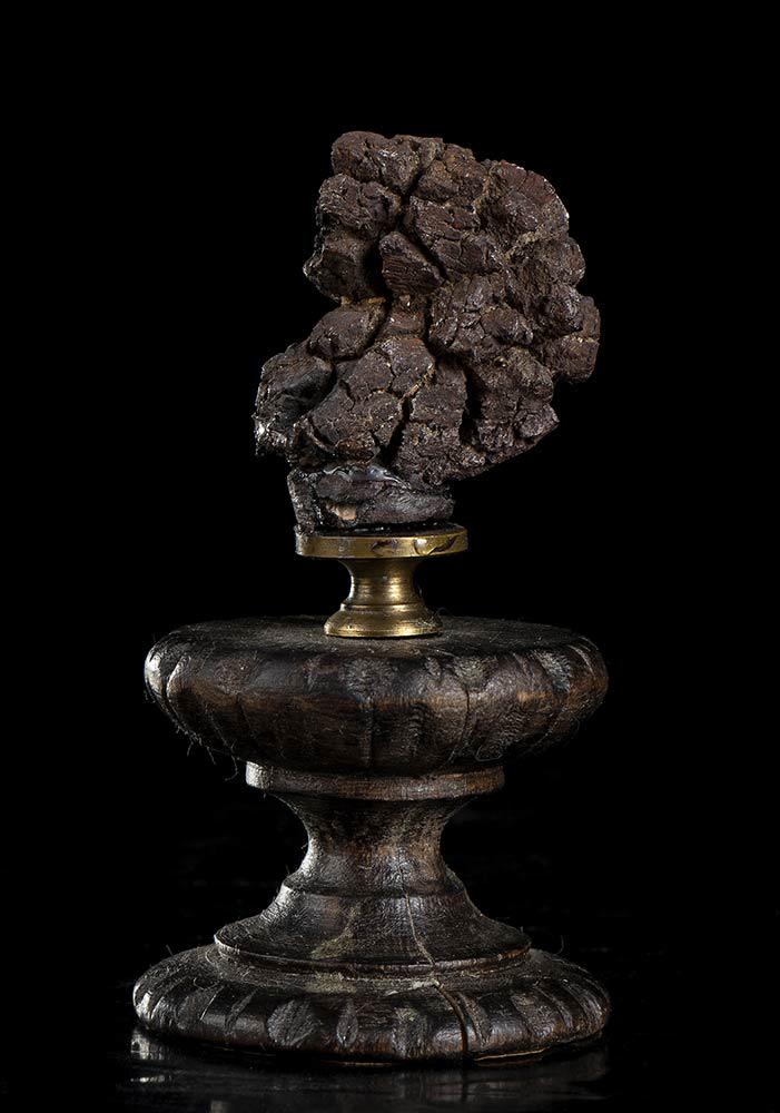 COPROLITE ON A BASIS (1 of 1)