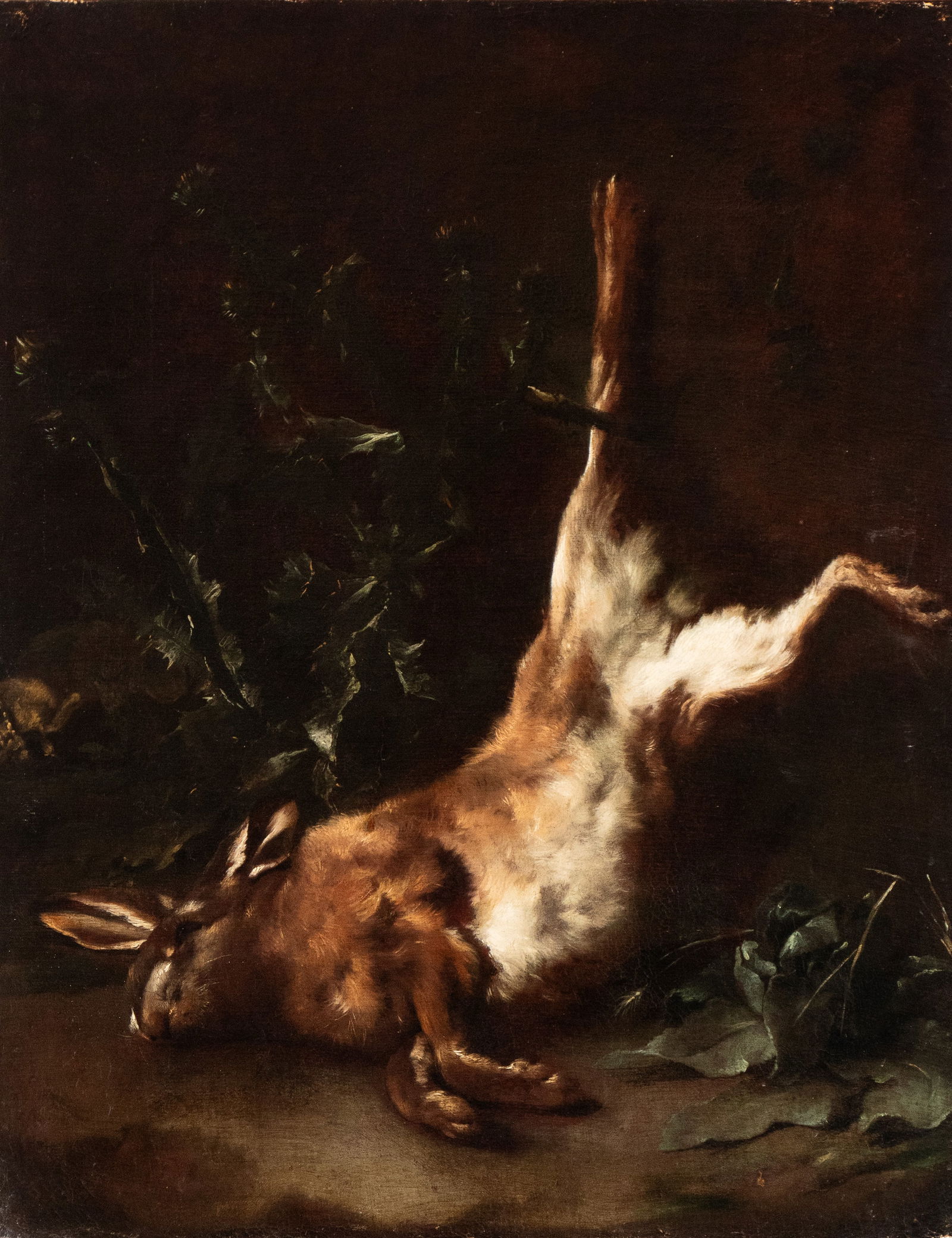 Artista fiammingo, XVII secolo: Still life with a hanging hareOil on canvascm. 89,5x70