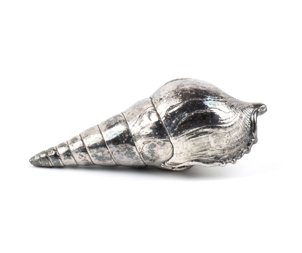 FEDERICO BUCCELLATI Natural Marine Shell Mounted in Silver: Height x width: 12 x 5.5 cm. Weight: 125 gRefined ornamental object composed of a natural marine shell, probably belonging to the family Terebridae and tentatively attributable to the genus Terebra