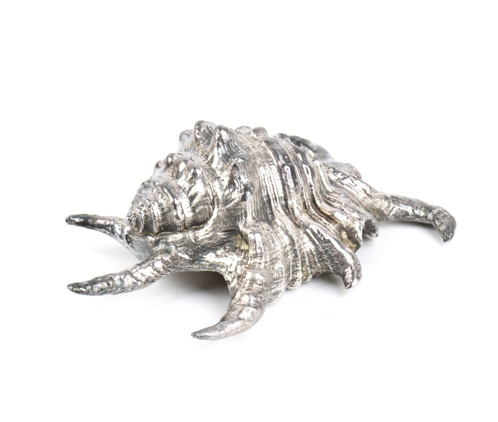 FEDERICO BUCCELLATI Natural Marine Shell Mounted in Silver: Refined ornamental object composed of a natural marine shell, probably belonging to the family Muricidae and tentatively attributable to the genus Chicoreus spp., entirely enclosed within a custom-mad