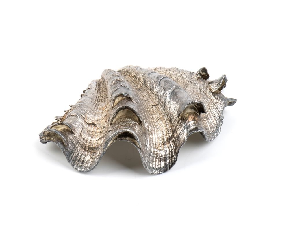 FEDERICO BUCCELLATI Natural Marine Shell Mounted in Silver: Refined ornamental object composed of a natural marine shell, probably belonging to the family Muricidae, entirely enclosed within a custom-made silver mount.The silver mount faithfully follows the sh