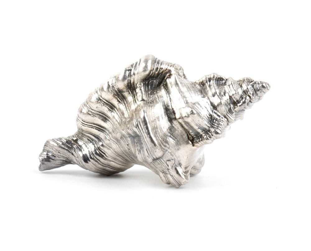 FEDERICO BUCCELLATI Natural Marine Shell Mounted in Silver: Refined ornamental object composed of a natural marine shell, probably belonging to the family Muricidae and tentatively attributable to the Murex/Chicoreus group, entirely enclosed within a custom-ma