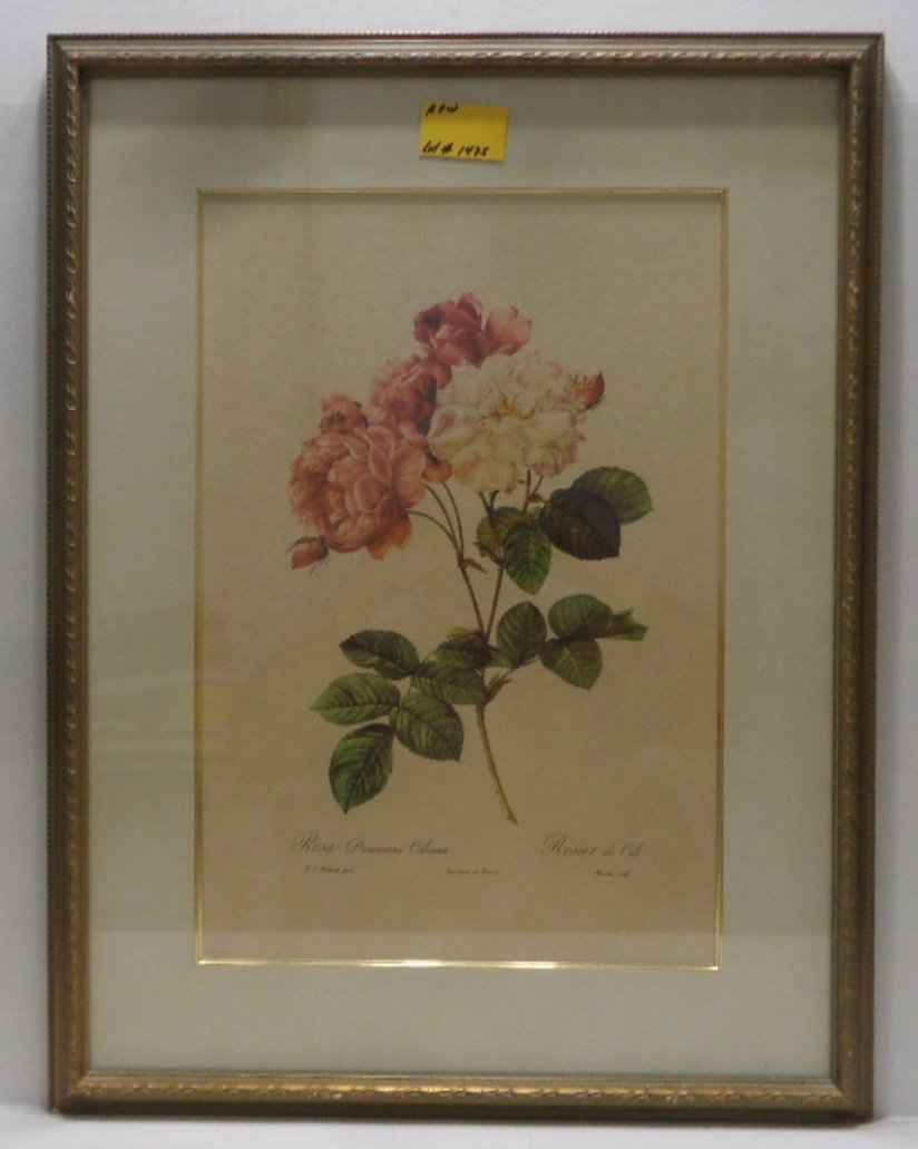 FRAMED ARTWORK PRINT OF ROSA DAMASCENA CELSIANA/ROSIER: FRAMED ARTWORK PRINT OF ROSA DAMASCENA CELSIANA/ROSIER DE CELS FROM THE "BOMBAY CO. MEASURES 20 INCHES X 25.5 INCHES. ITEM IN GOOD CONDITION.