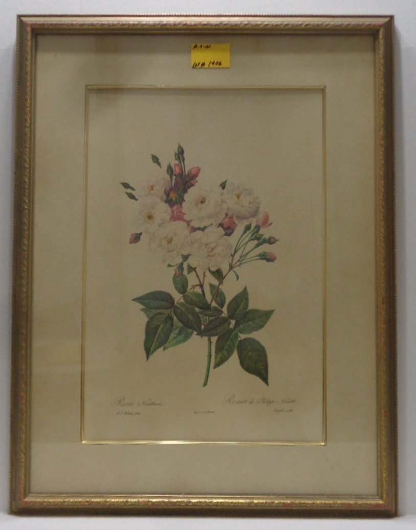 FRAMED ARTWORK PRINT OF ROSA NOISEHIANA ROSIER: FRAMED ARTWORK PRINT OF ROSA NOISEHIANA ROSIER DE PHILIPPE NOISETTE. FROM THE "BOMBAY CO. MEASURES 20 INCHES X 25.5 INCHES. ITEM IN GOOD CONDITION.