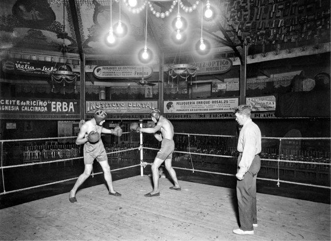 Navarro - Spain - Print Size: 10"x 8" Photo: Navarro - Spain - Print Size: 10"x 8" Photo