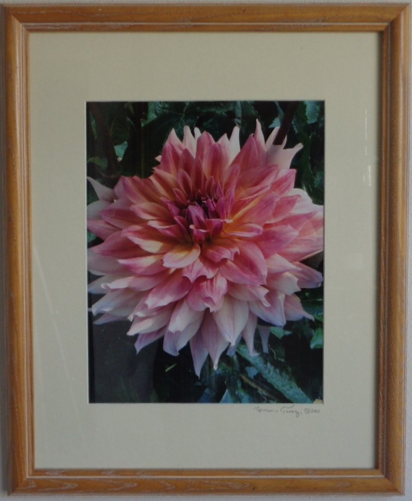 Norman Terry Photograph 2011. Natural Flower. Measureme: Norman Terry Photograph 2011. Natural Flower. Measurements : 10" 1/2 x 13" 1/2. Frame: 18" x 22.