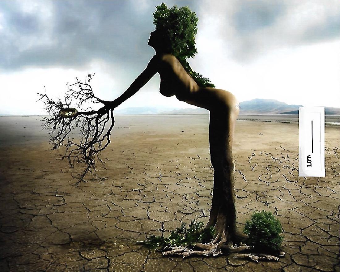 Avant Garde Modernist Experimental Surrealist - Photo (1 of 1)