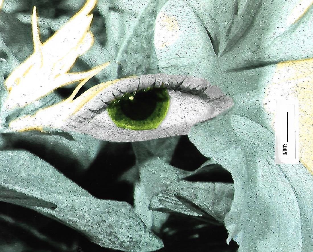 Avant Garde Modernist Experimental Surrealist - Photo (1 of 2)