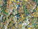 Jackson Pollock Abstract Expressionist American - 6