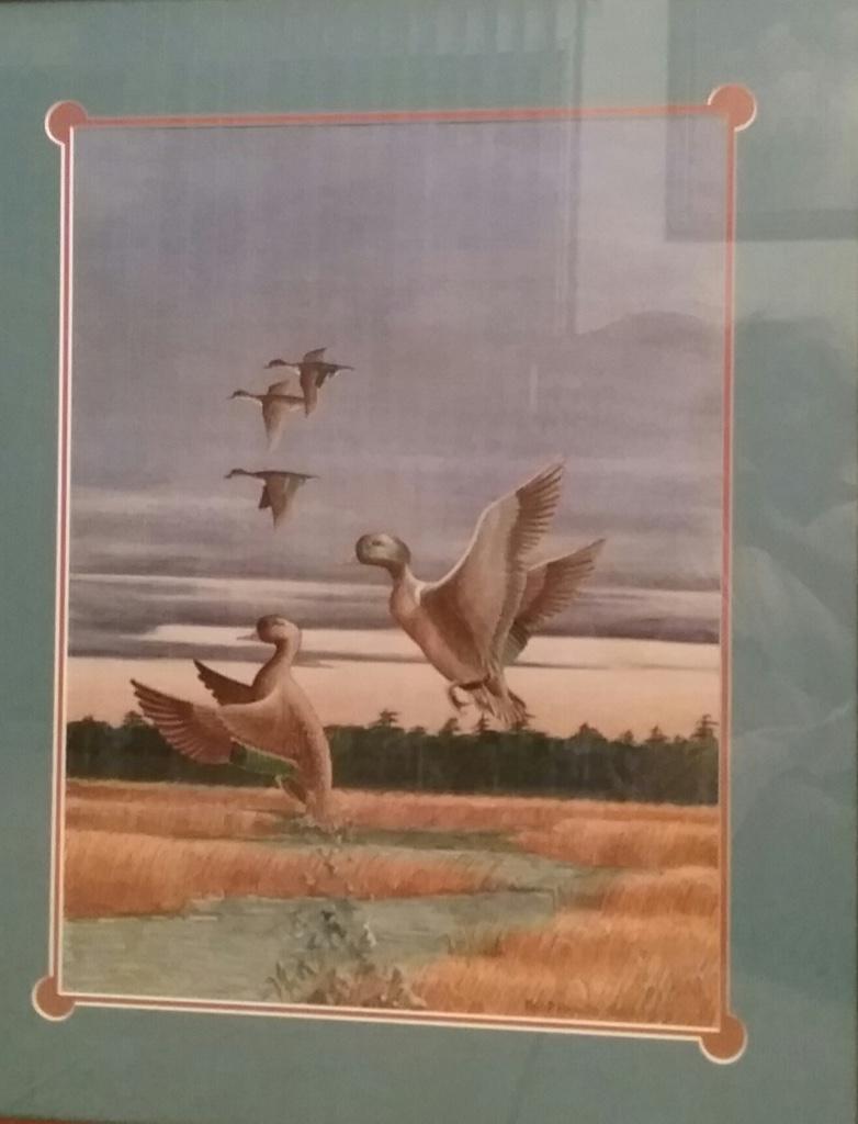 Green-Winged-Teal-Mason-Duck-Decoy-Print-Signed-Number (1 of 5)