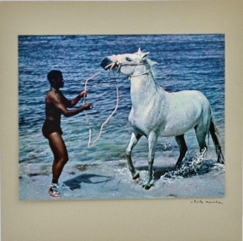 1971 Fritz Henle Fine Art Prints Photographs tipped (1 of 1)