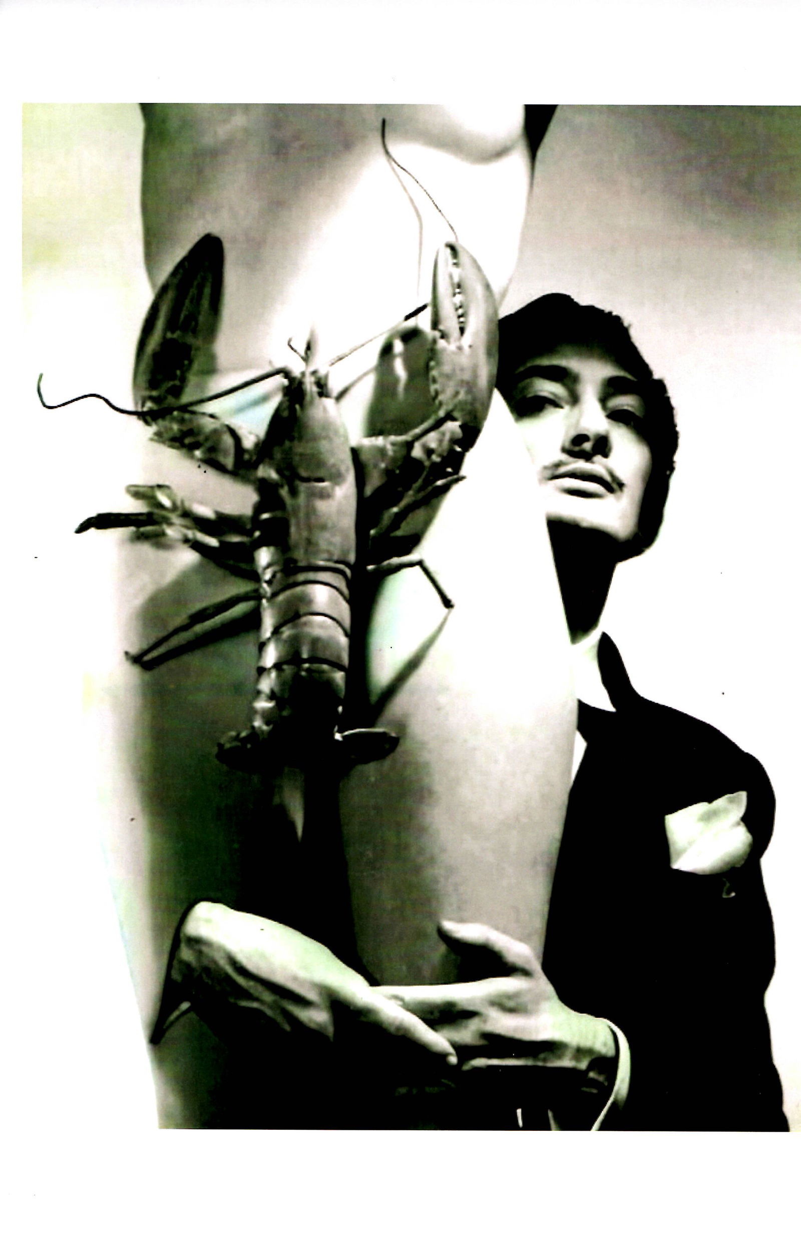 Savaldor Dali Avant Garde Modernist Experimental (1 of 1)