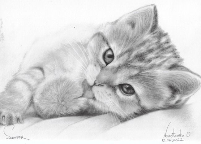 Painting Art modern Oil dry brush animal cat: Painting Art modern Oil dry brush animal cat realism . size: 8 x 5. Painting, NOT print Material:oil painting on Paper. Painting is sold unframed and without COA.Good Condition