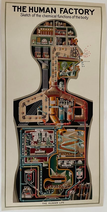 1931 The Human Factory - Vintage Industrial Anatomy Poster (repo) (1 of 2)