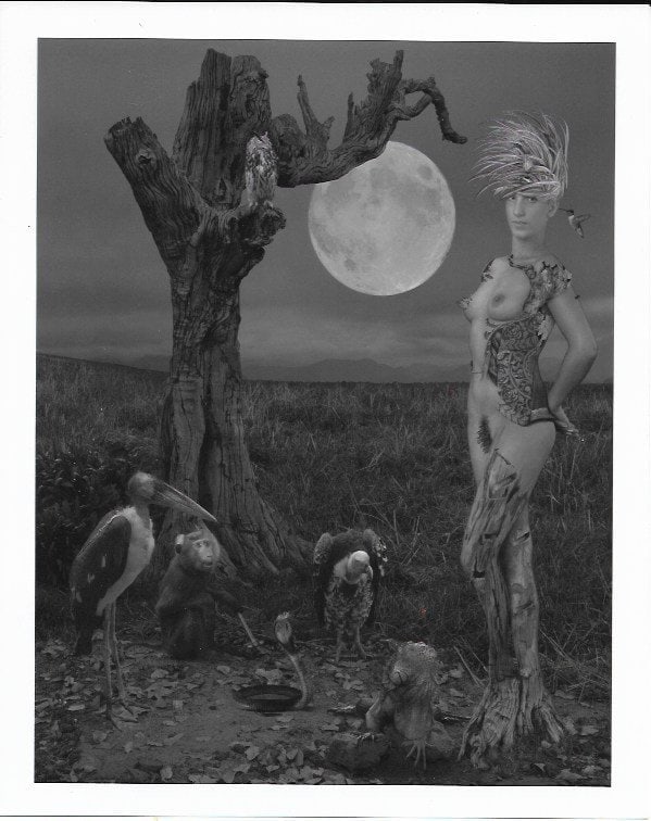 B&W Avant Garde- Limited Dominic Rouse (1 of 2)