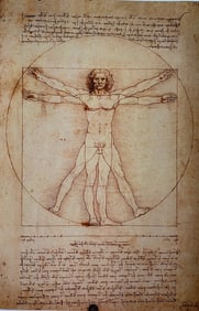 Vitruvian Man Leonardo de Vinci Historic Art Poster repro