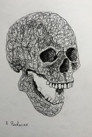 Skull drawn on Paper Certification From Artist