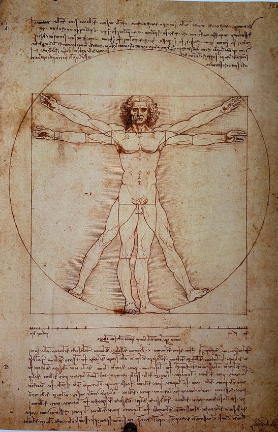 Vitruvian Man Leonardo de Vinci Historic Art Poster repro (1 of 1)