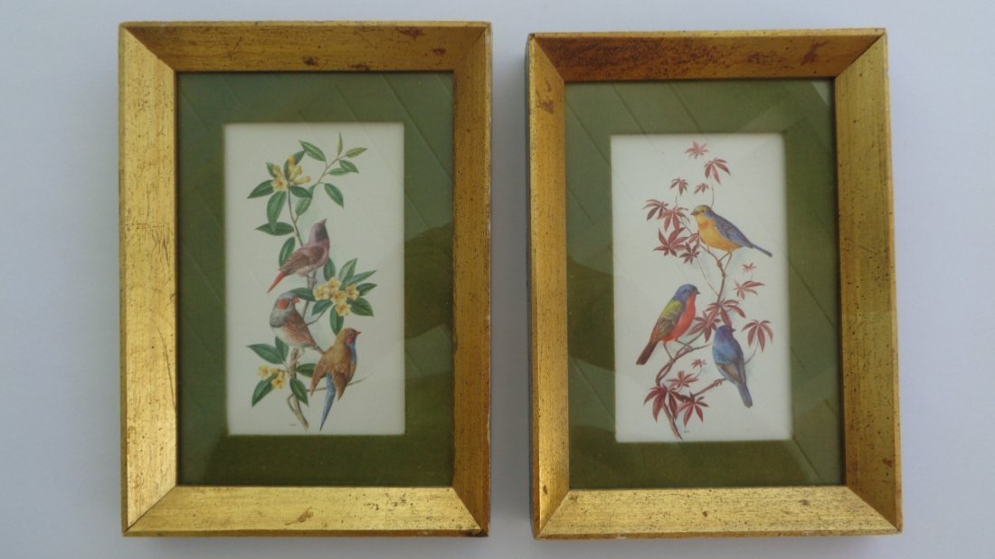Beautiful Pair Old Picture Frame Birds. Measurements : (1 of 1)