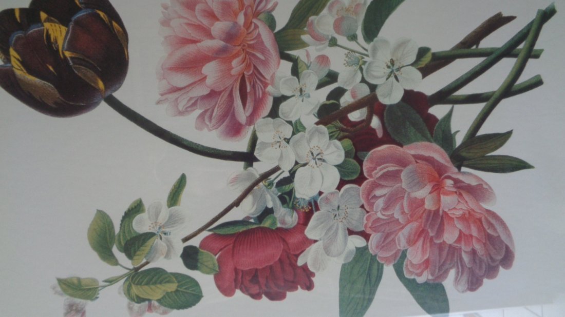 Framed Flower Print (1 of 2)