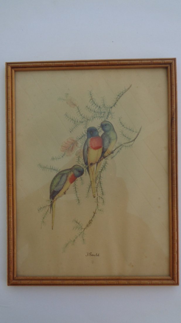 Old Picture Frame Birds: Old Picture Frame Birds. Measurements : 9 3/4 x 12 3/4. This piece is in good condition.