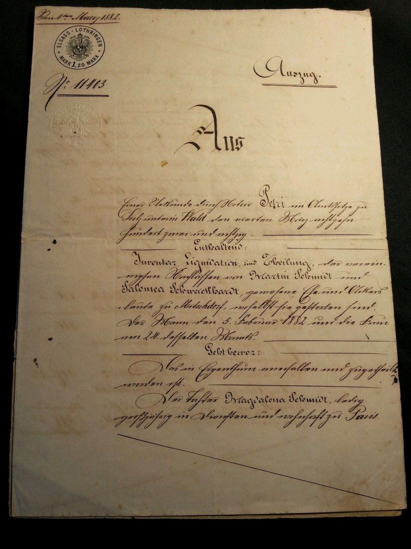 1882 Antique German Notary Document (1 of 2)