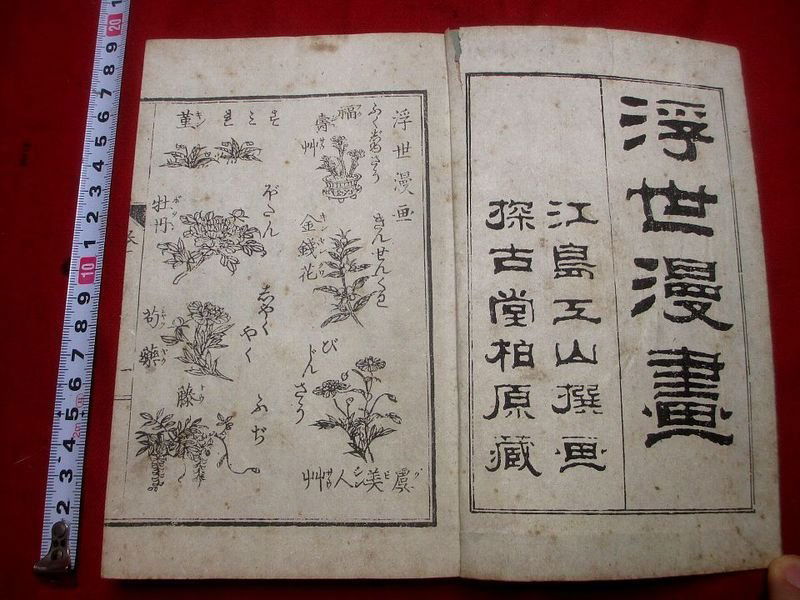 Japanese UKIYOE Ehon Woodblock Print Book ukiyomanga (1 of 2)